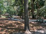 10 Hollyberry Lane - Photo 12
