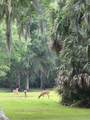 17 Pipers Pond Road - Photo 59