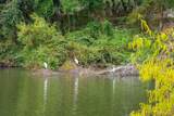 36 Middle Island Street - Photo 70