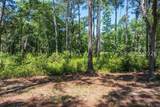 77 Lupine Road - Photo 20