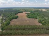 26378 Old Salkehatchie Highway - Photo 3