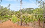 7 Woodstork Watch - Photo 59