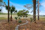 11 Spartina Crescent - Photo 41
