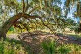 2255 Plantation Drive - Photo 44