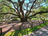TBD Carolina Ave - Photo 7