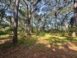 7 Point Trail - Photo 2