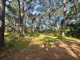 7 Point Trail - Photo 3