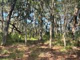 7 Point Trail - Photo 4