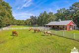 82 Rose Dhu Creek Plantation Drive - Photo 8
