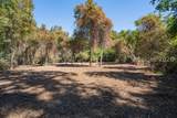 501 Paige Point Road - Photo 12