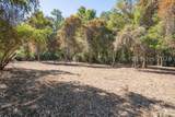 501 Paige Point Road - Photo 14