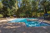 2 Sweet Gum Lane - Photo 37