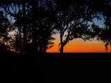 239 Old Haig Point Road - Photo 97