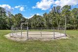 165 Golda Drive - Photo 92