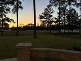 585 Laurel Oak Avenue - Photo 63