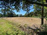 205 Sam Doyle Drive - Photo 4