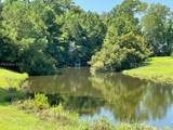 2711 Switchgrass Drive - Photo 42