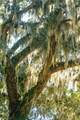 210 Old Plantation Drive - Photo 67