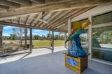 16 Dove Street - Photo 55