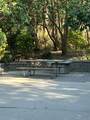 43 Jenkins Island Road - Photo 5