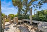 21 Red Cardinal Road - Photo 51