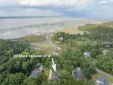 203 Black Skimmer Drive - Photo 2