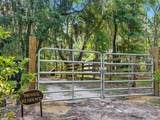 170 Old Haig Point Road - Photo 42