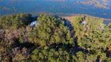 31 Spring Island Drive - Photo 41