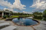 165 Golda Drive - Photo 16
