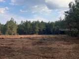 505 Sisters Ferry Road - Photo 16