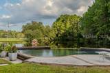 165 Golda Drive - Photo 19
