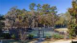 31 Spring Island Drive - Photo 14