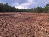 505 Sisters Ferry Road - Photo 2