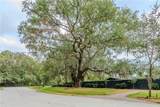 165 Olive Shell Court - Photo 8