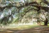 10 Wax Myrtle Court - Photo 46