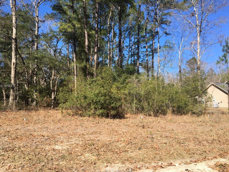 LOT 76 Wellington Lane - Photo 1