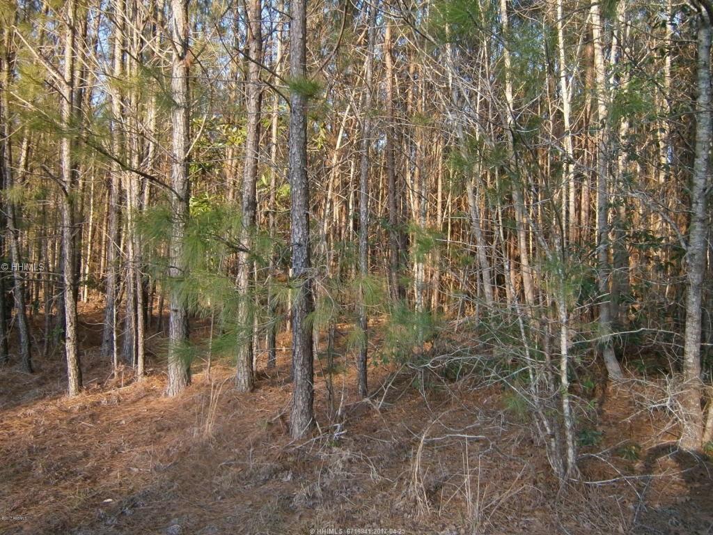 1 Speedway Blvd - Photo 1
