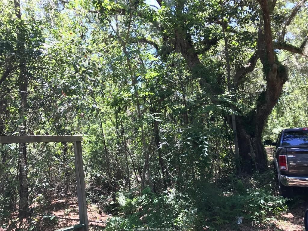 0 Chaplin Drive - Photo 1