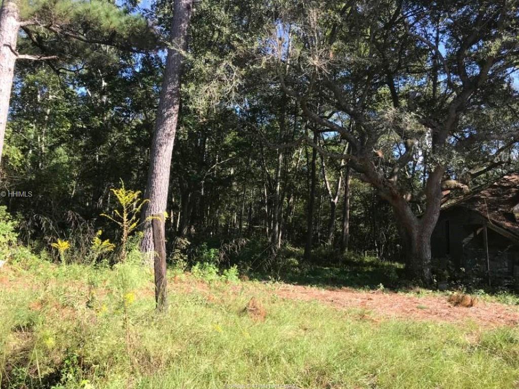 0 Bees Creek Road Road - Photo 1