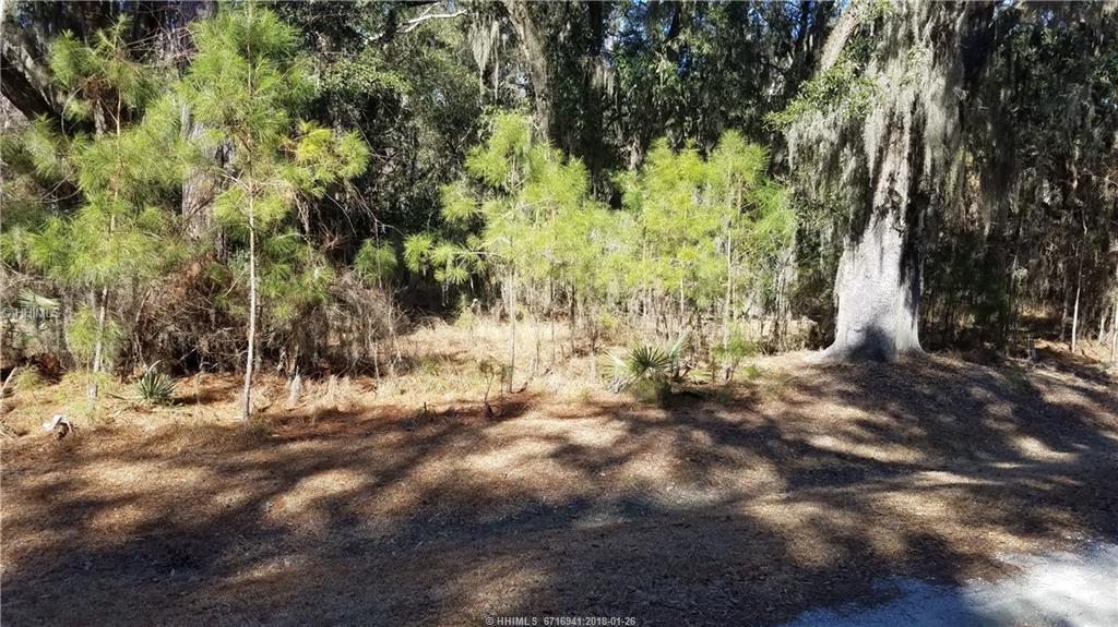 0 Cassique Creek Drive - Photo 1