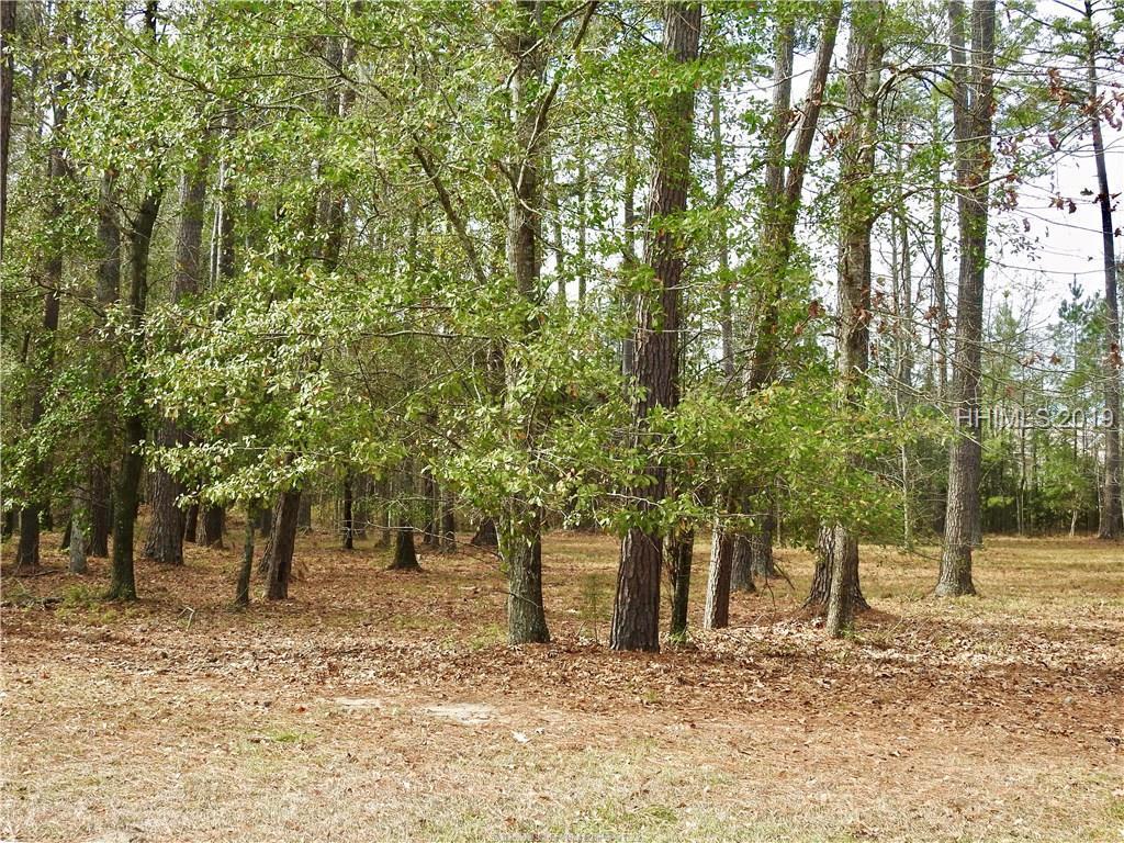 188 Firethorn Lane - Photo 1