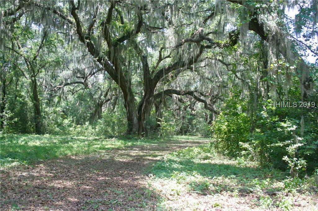 165 Live Oak Road - Photo 1