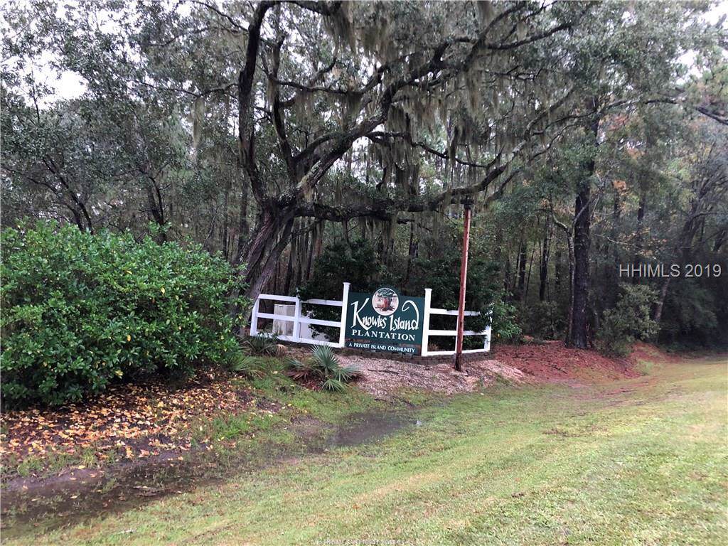 Lot 89 Knowles Island Plantation - Photo 1