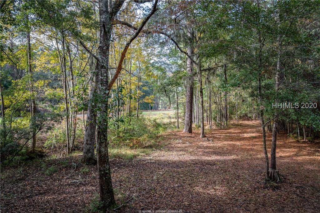 277 Spring Island Drive - Photo 1