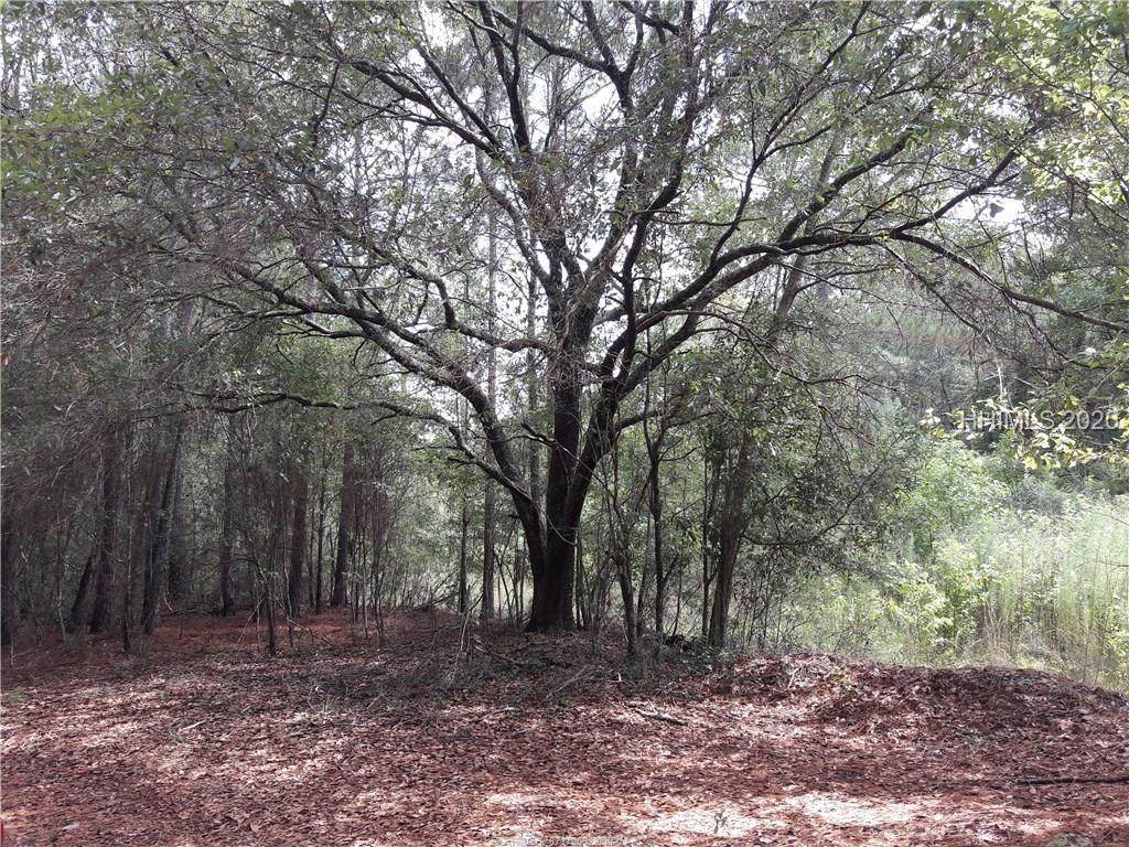 0 Captains Walk - Photo 1