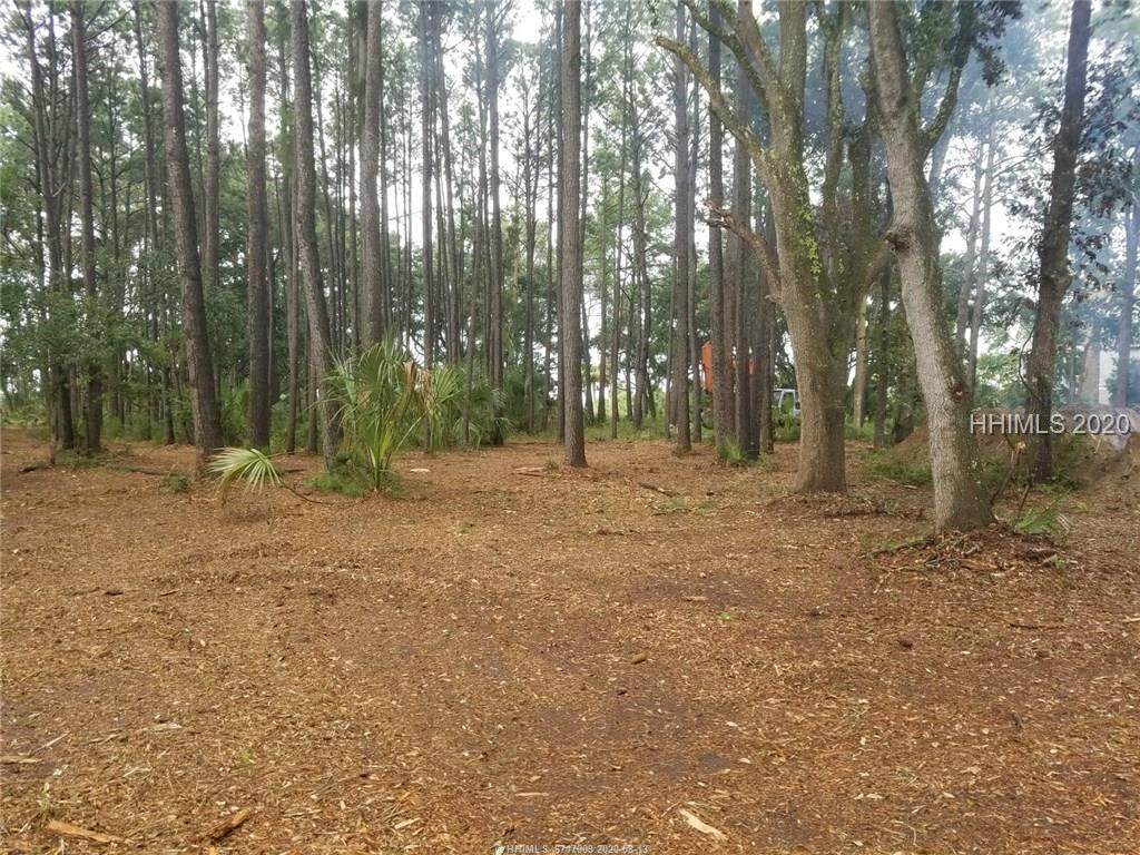 83 Fuskie Lane - Photo 1