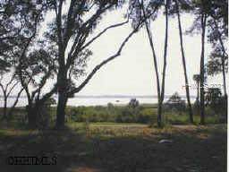 120 Carvin Road - Photo 1