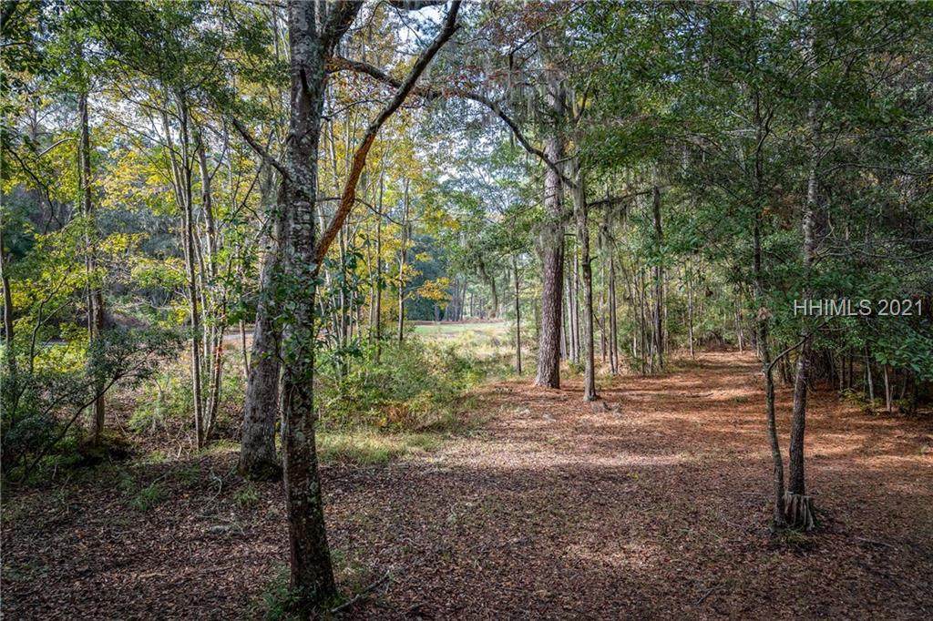 277 Spring Island Drive - Photo 1