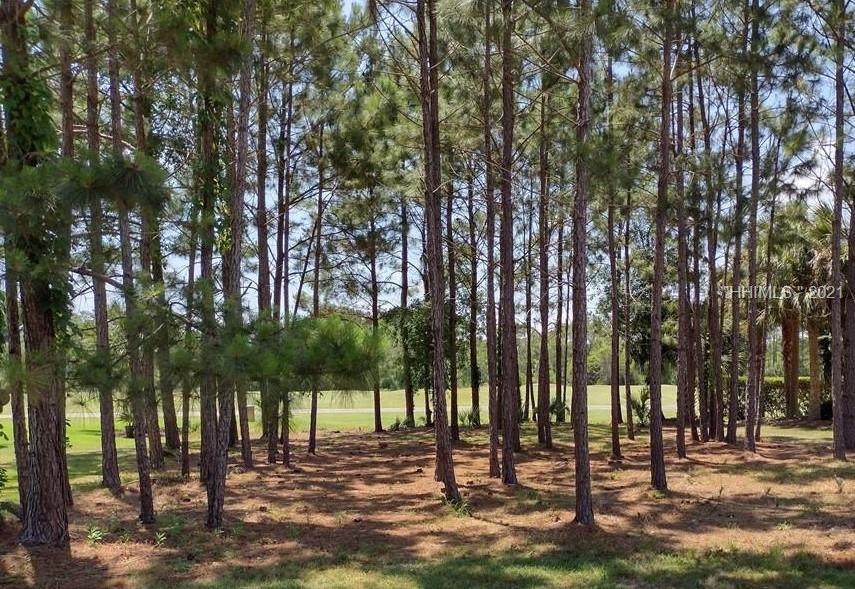 38 Pointe South Trace - Photo 1