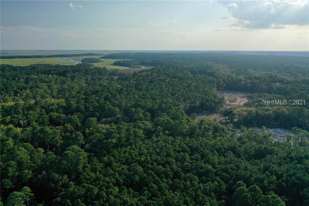 28 Butterweed Road - Photo 1